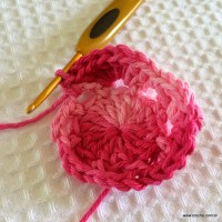 Flor roseta passo a passo - www.croche.com (19)