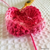 Flor roseta passo a passo - www.croche.com (21)