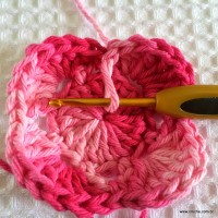 Flor roseta passo a passo - www.croche.com (22)