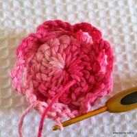 Flor roseta passo a passo - www.croche.com (29)