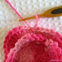 Flor roseta passo a passo - www.croche.com (39)