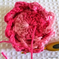 Flor roseta passo a passo - www.croche.com (42)