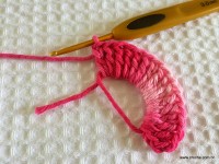 Flor roseta passo a passo - www.croche.com (5)