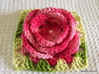 Flor roseta passo a passo - www.croche.com (73)