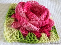 Flor roseta passo a passo - www.croche.com (76)
