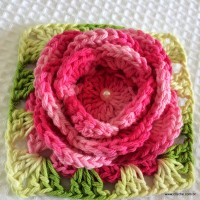 Flor roseta passo a passo - www.croche.com (79)