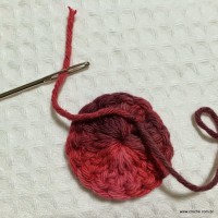 Flor segredo passo a passo - www.croche.com (10)
