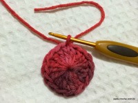 Flor segredo passo a passo - www.croche.com (15)