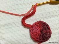 Flor segredo passo a passo - www.croche.com (16)