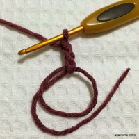 Flor segredo passo a passo - www.croche.com (2)