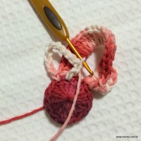 Flor segredo passo a passo - www.croche.com (28)