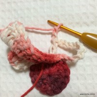 Flor segredo passo a passo - www.croche.com (29)