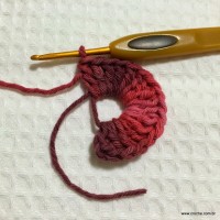 Flor segredo passo a passo - www.croche.com (3)