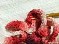 Flor segredo passo a passo - www.croche.com (38)