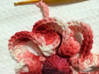 Flor segredo passo a passo - www.croche.com (39)