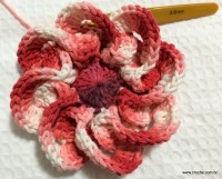 Flor segredo passo a passo - www.croche.com (41)