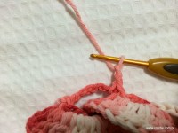 Flor segredo passo a passo - www.croche.com (43)