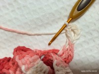 Flor segredo passo a passo - www.croche.com (45)