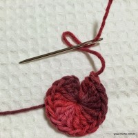 Flor segredo passo a passo - www.croche.com (5)