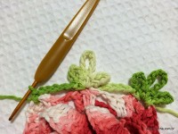 Flor segredo passo a passo - www.croche.com (57)