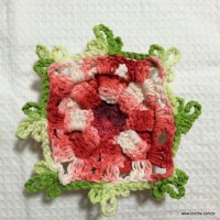 Flor segredo passo a passo - www.croche.com (58)