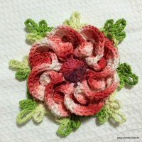 Flor segredo passo a passo - www.croche.com (59)