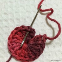 Flor segredo passo a passo - www.croche.com (6)