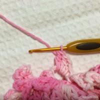 Flor_azal_ia_passo_a_passo_www.croche.com_21_