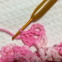 Flor_azal_ia_passo_a_passo_www.croche.com_24_