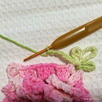 Flor_azal_ia_passo_a_passo_www.croche.com_33_