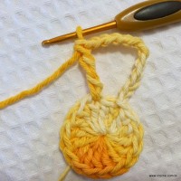 Flor_cam_lia_passo_a_passo_www.croche.com_11_