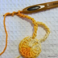 Flor_cam_lia_passo_a_passo_www.croche.com_12_