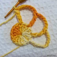 Flor_cam_lia_passo_a_passo_www.croche.com_13_