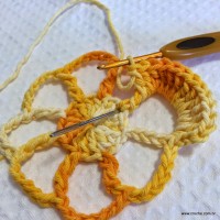 Flor_cam_lia_passo_a_passo_www.croche.com_22_