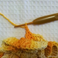 Flor_cam_lia_passo_a_passo_www.croche.com_44_