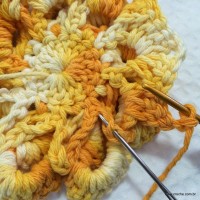 Flor_cam_lia_passo_a_passo_www.croche.com_49_