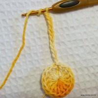 Flor_cam_lia_passo_a_passo_www.croche.com_8_