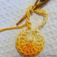 Flor_cam_lia_passo_a_passo_www.croche.com_9_