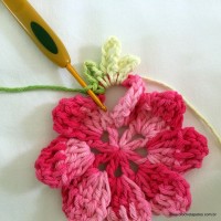 IMG_3264-001