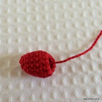 Joaninha passo a passo (14)