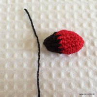 Joaninha passo a passo (24)