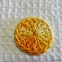 Miolo da flor - www.croche.com (10)