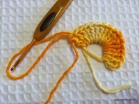 Miolo da flor - www.croche.com (1)