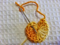 Miolo da flor - www.croche.com (3)