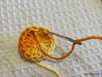 Miolo da flor - www.croche.com (5)