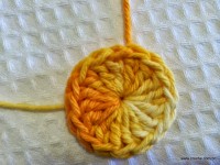 Miolo da flor - www.croche.com (6)