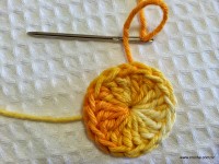 Miolo da flor - www.croche.com (7)