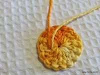 Miolo da flor - www.croche.com (8)