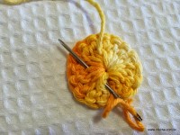 Miolo da flor - www.croche.com (9)