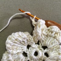 PAP flor japonesa - www.croche.com (19)